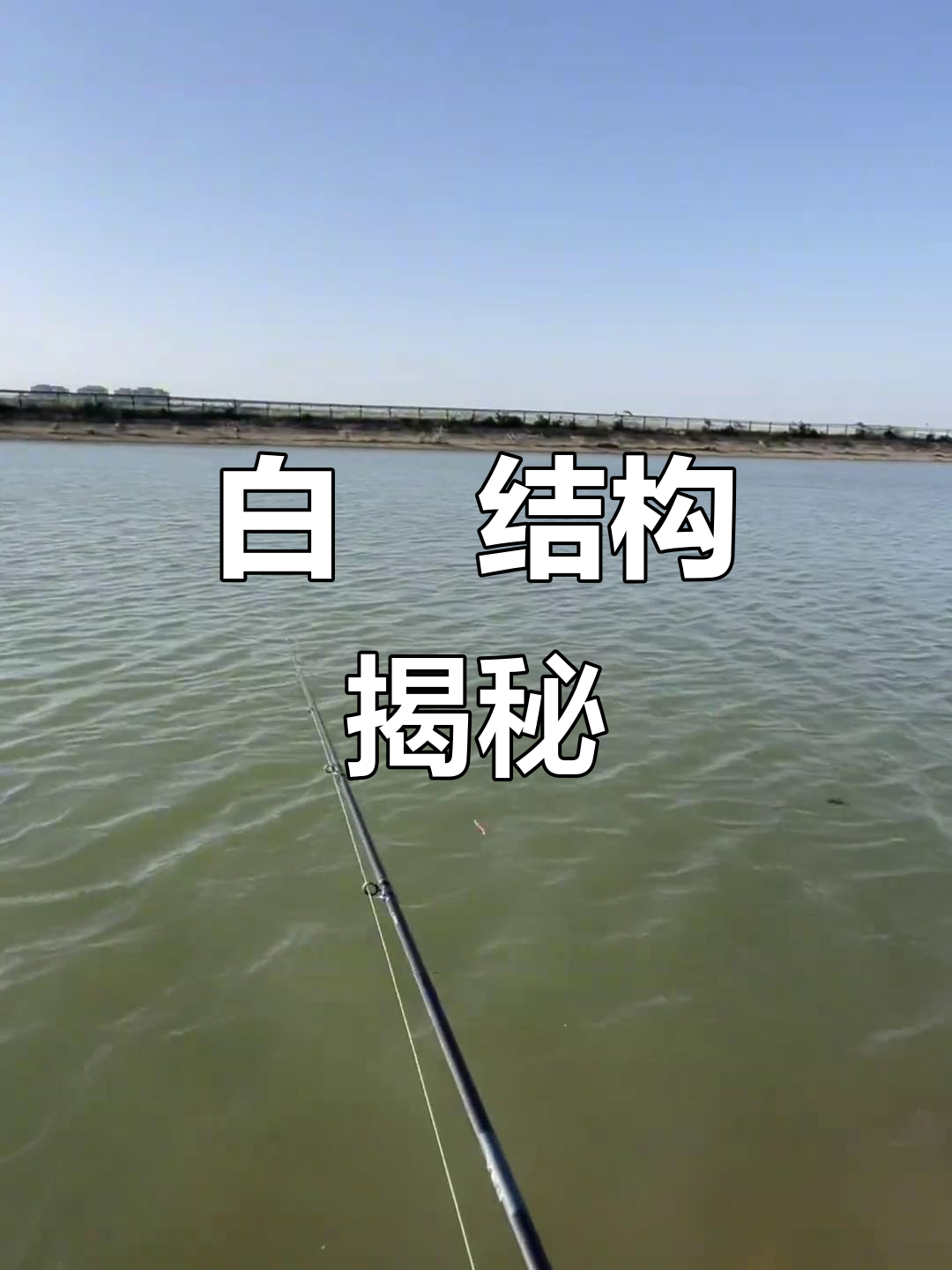 鳜鱼结构解析:白鱖的“磨”与关键部位