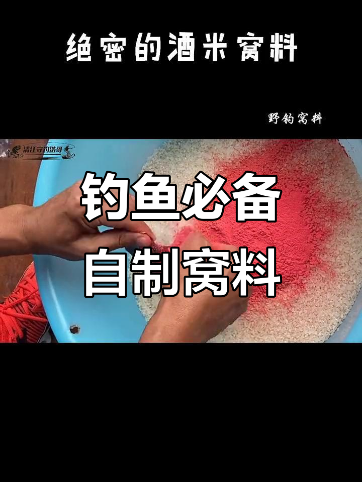 自制钓鲫鱼酒米,绝密配方大揭秘