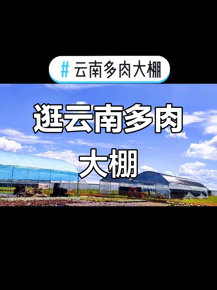 云南多肉大棚,神仙般的美景等你来探秘