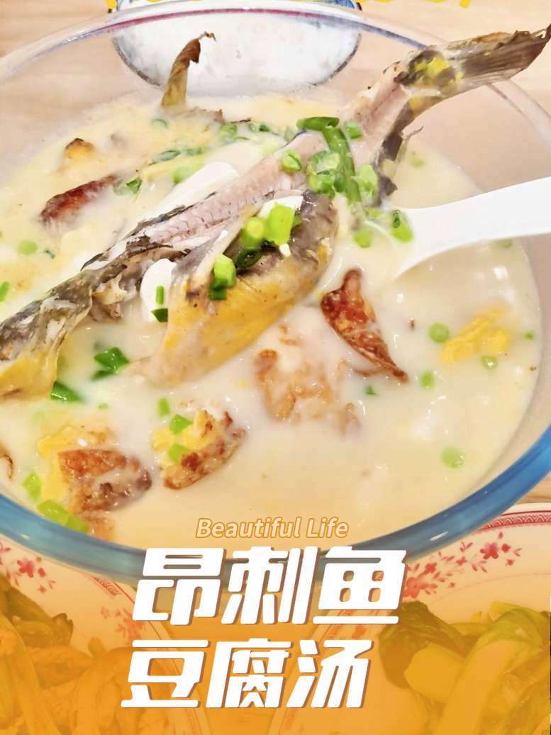 昂刺鱼豆腐汤,高蛋白饮食中少不了它,做法简单,营养丰富#味道棒棒哒健康美食自己做 #舌尖上