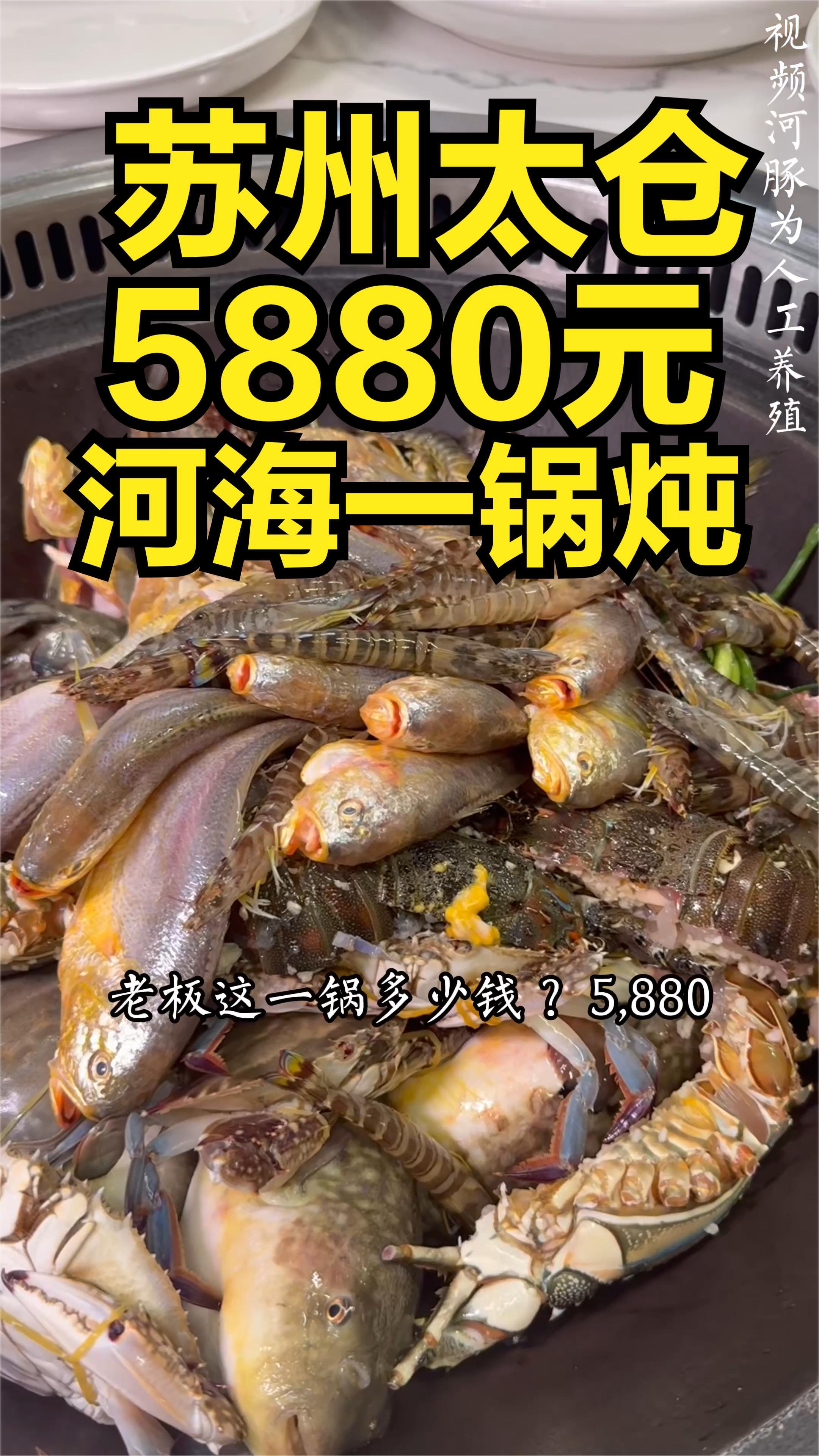 苏州太仓5888元吃一个河豚海鲜地锅,值不值!