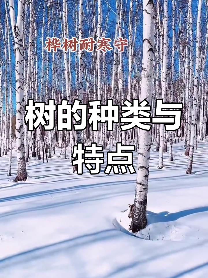 不同种类的树木特征与分布