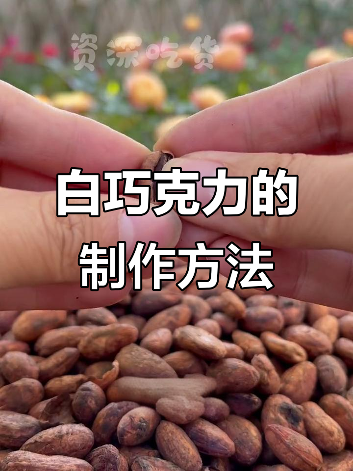 自制白巧克力:从可可果到香醇油脂的奇妙旅程