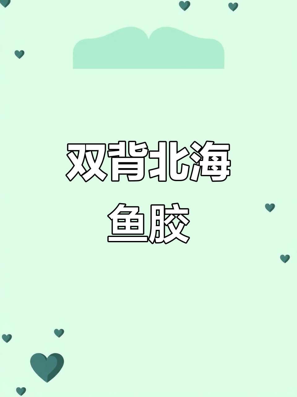 双背北海鱼胶:口感黏软,无公母之分