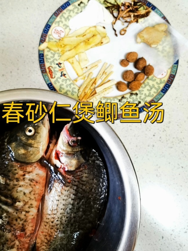 锦仪妈春季养生汤:春砂仁煲鲫鱼汤