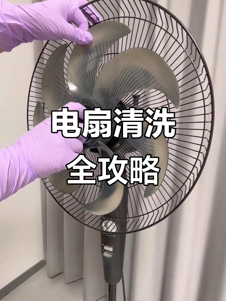 拆洗电风扇,彻底清洁不再难