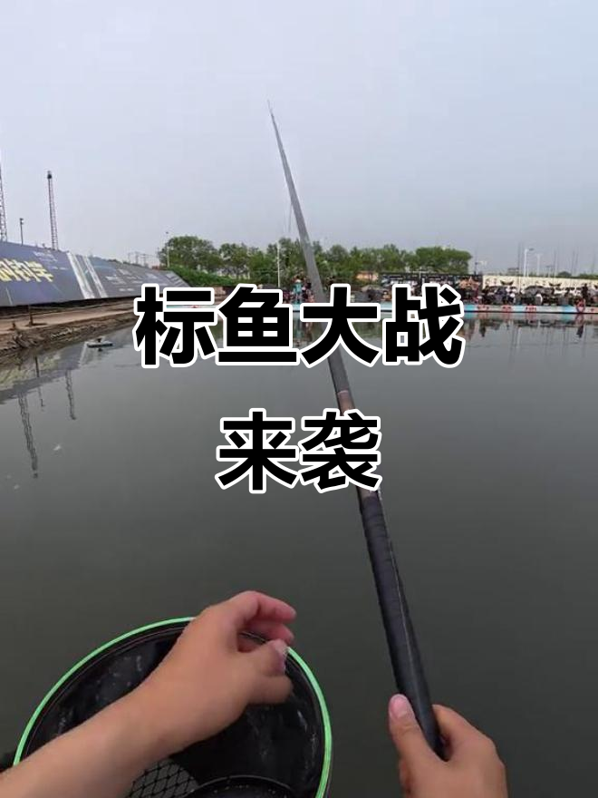 2025最强钓鱼挑战，标鱼决战一触即发！