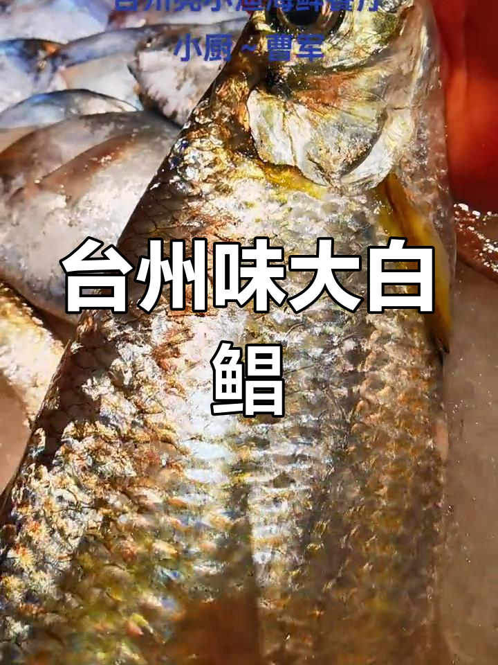 野生东海小船腊鱼,3斤重鲜美至极