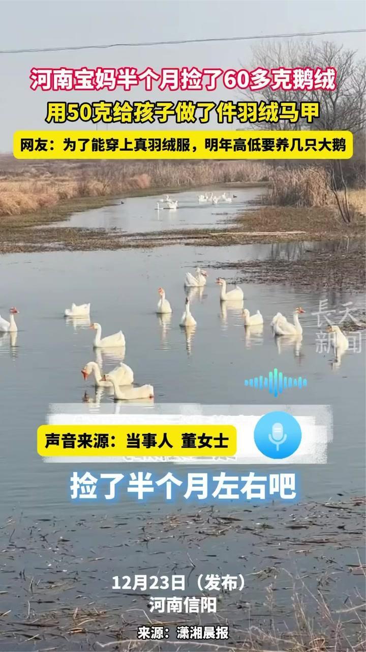 河南宝妈半个月捡了60多克鹅绒,用50克给孩子做了件羽绒马甲