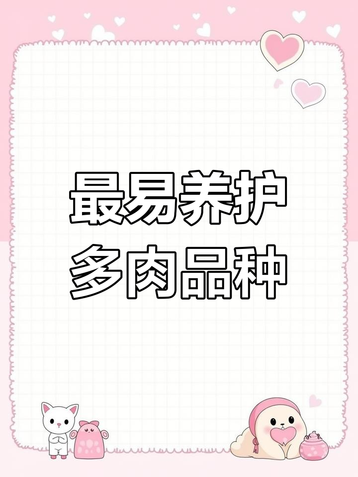 十大最容易养活的多肉植物,轻松爆盆不费力