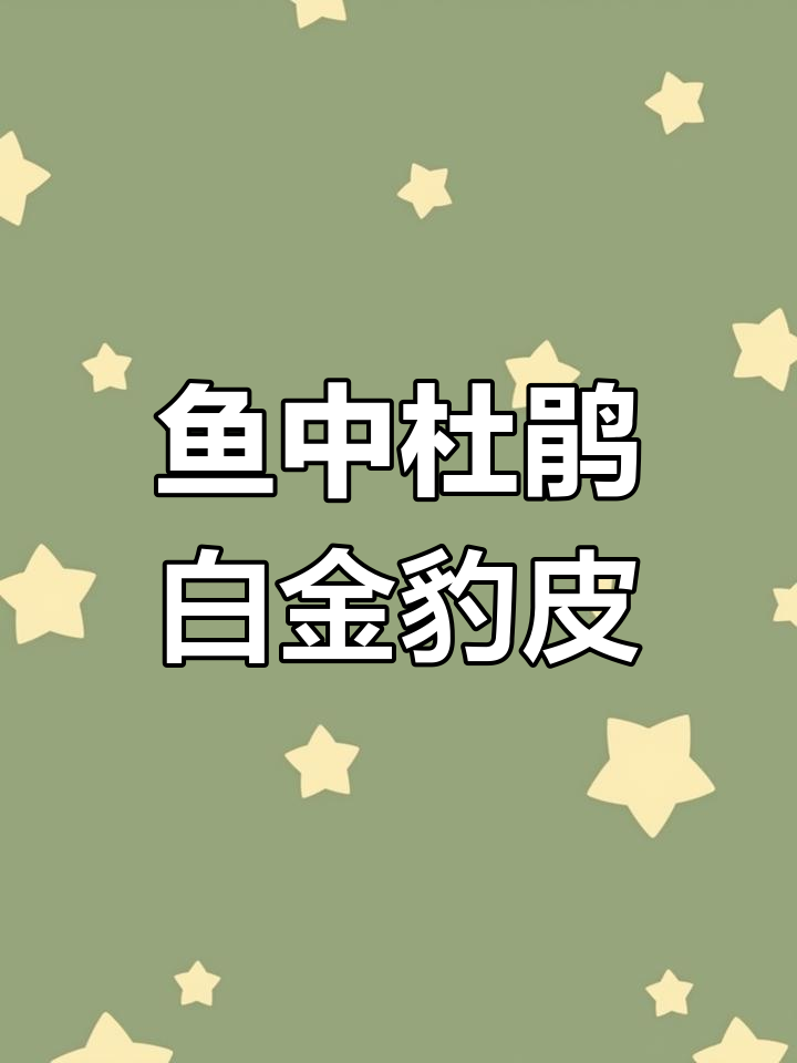 白金豹皮鱼的奇妙繁殖行为