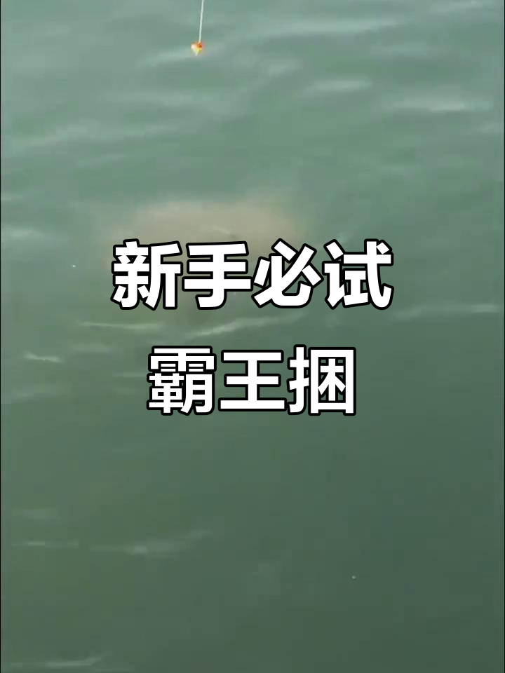 霸王捆钓鱼神器,新手也能轻松体验捕捞乐趣