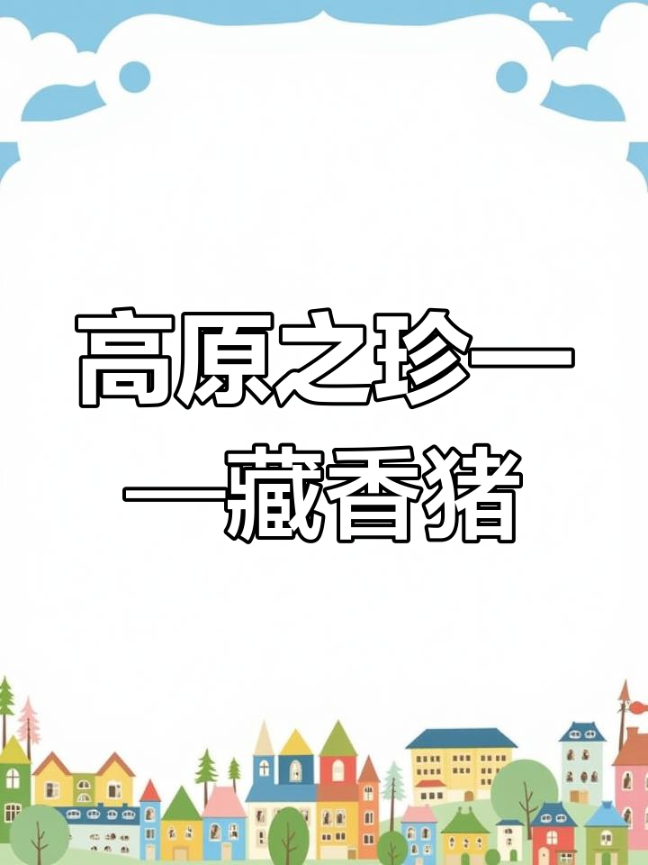 藏香猪:高原珍品,喝泉水吃山珍的脂肪型美味