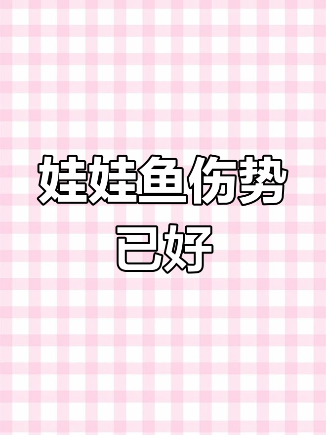 受伤娃娃鱼恢复中,安置大水箱后状态好转