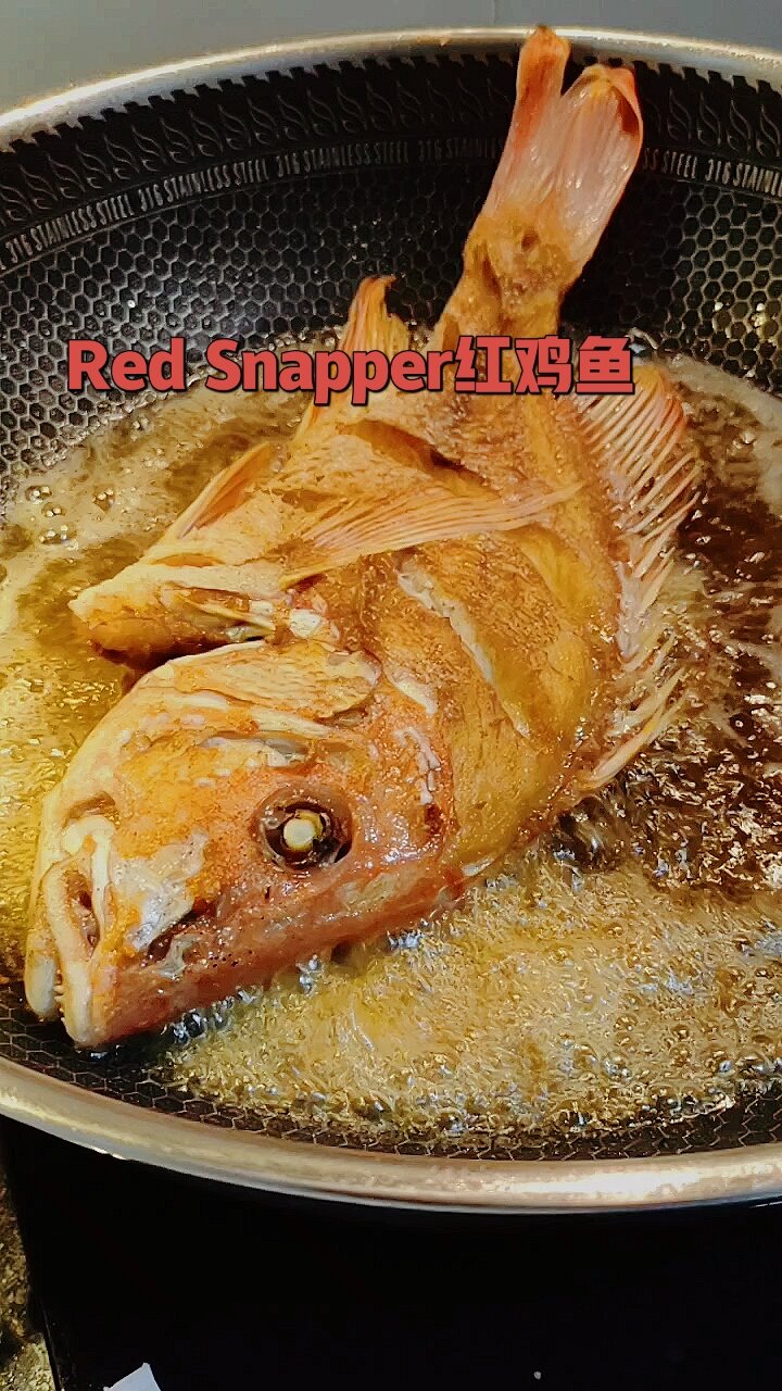 红鸡鱼