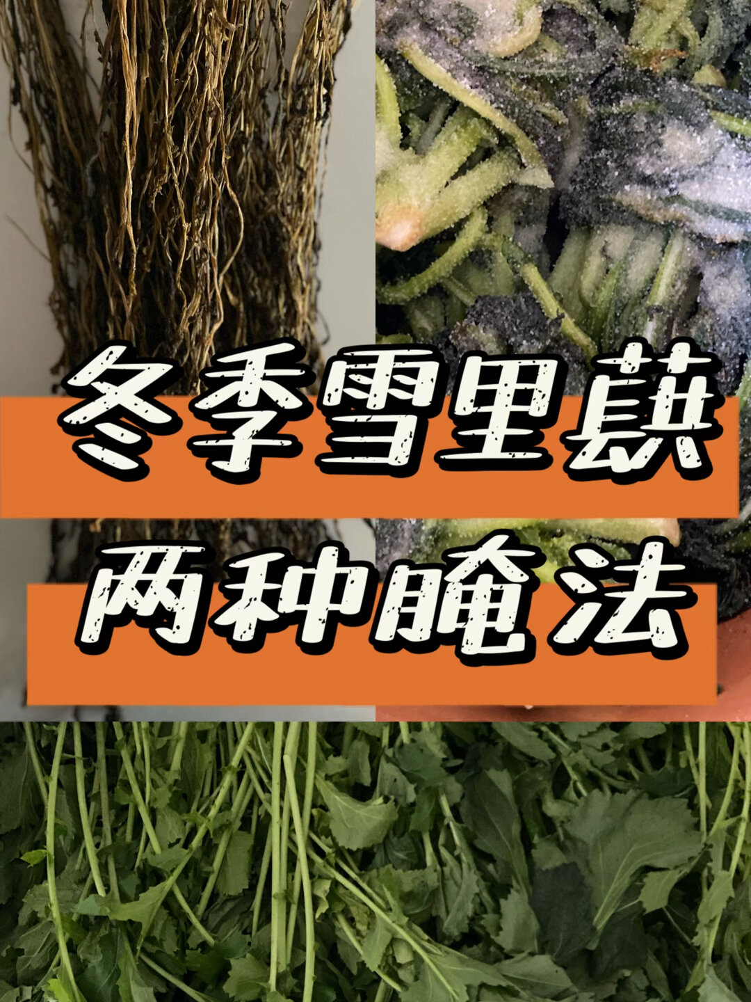雪里蕻 盐渍 雪里红 梅干菜 三蒸三晒 腌菜