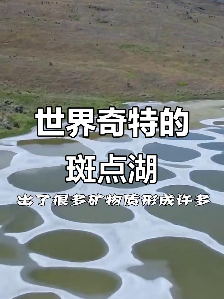 加拿大斑点湖：夏日蒸发结晶，湖水变幻莫测