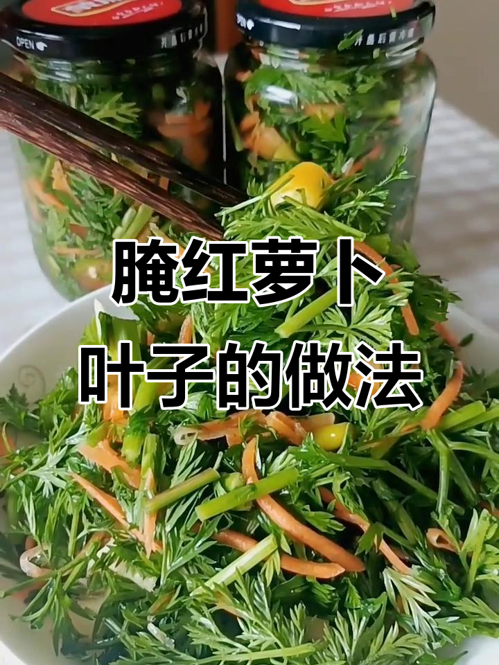 广东传统腌红萝卜叶子,酸香可口,过年必备!