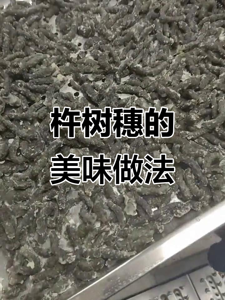 河南农村的“丑”野菜,营养丰富,春天必吃!