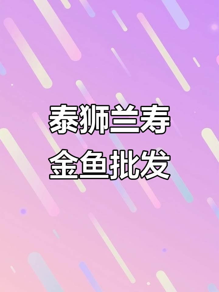 金鱼批发市场,泰狮与兰寿金鱼大揭秘