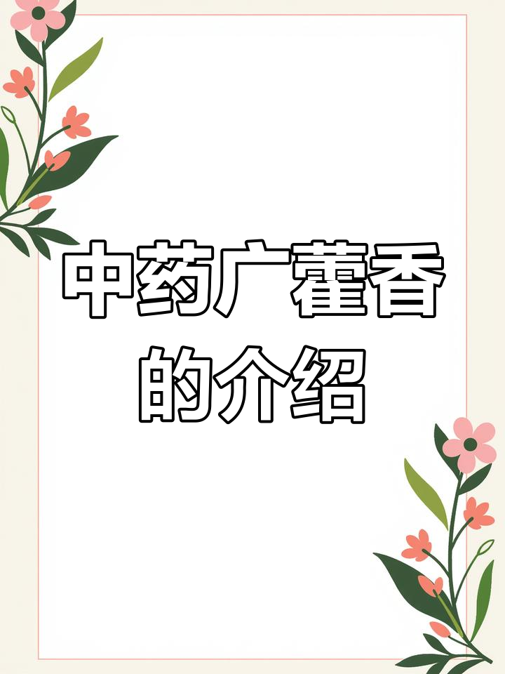 广藿香:中草药图谱解析,作用一目了然