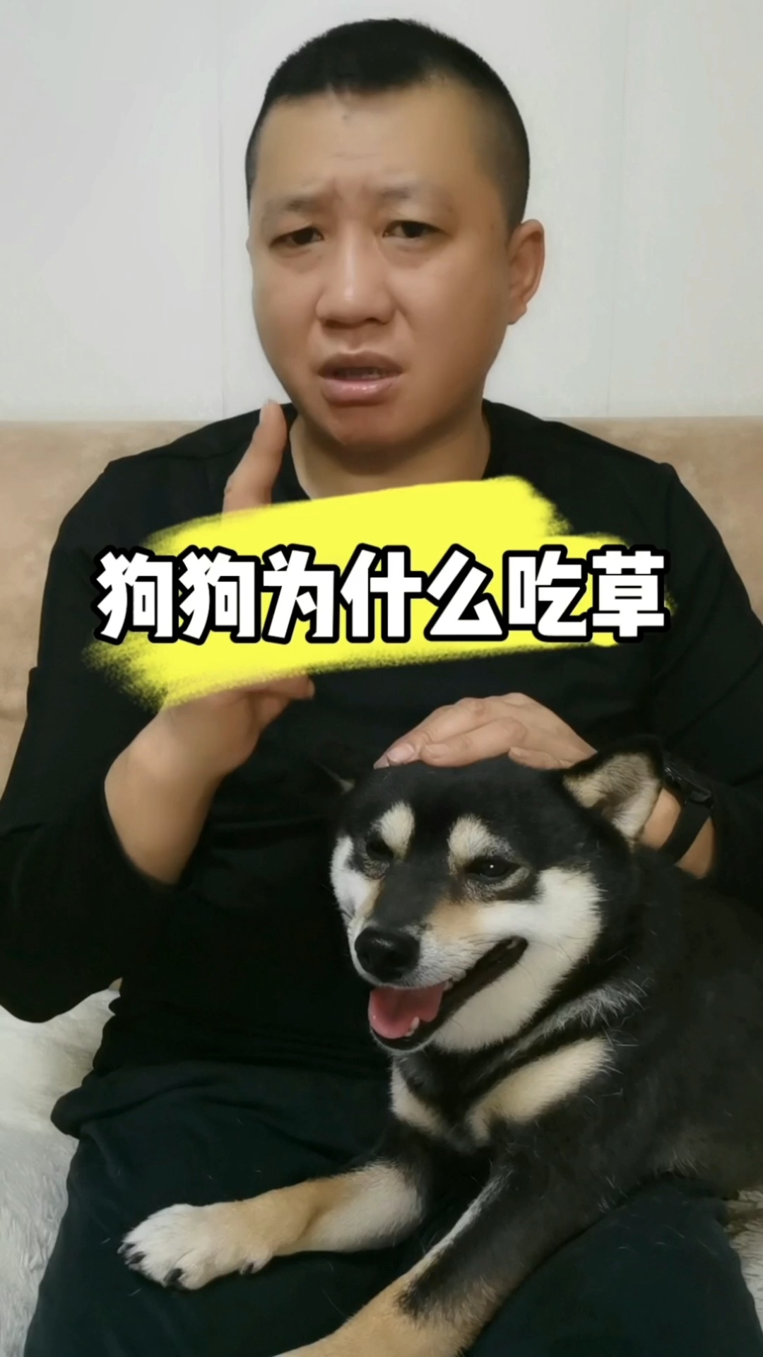 狗狗吃草是怎么回事?