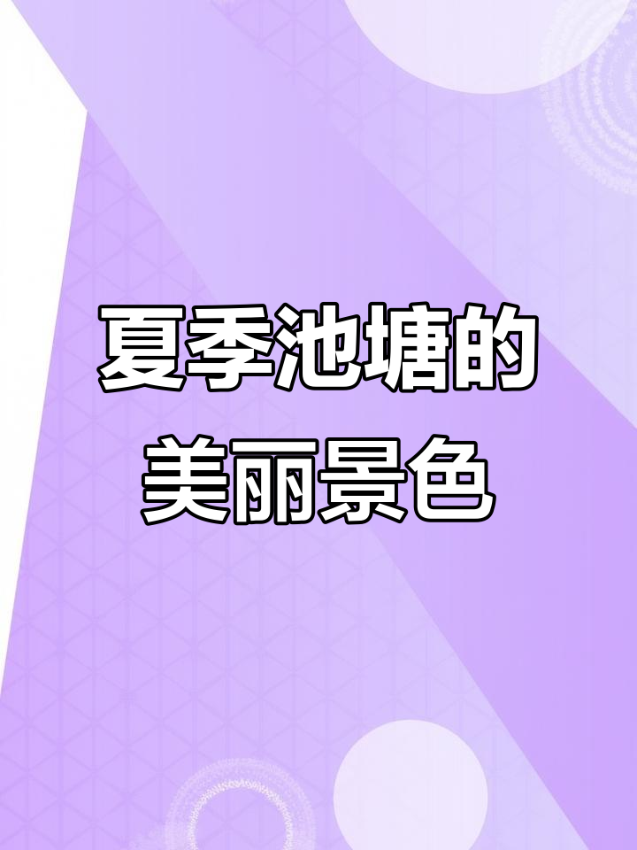 夏日荷塘美景,荷花、荷叶与鱼儿的和谐乐章