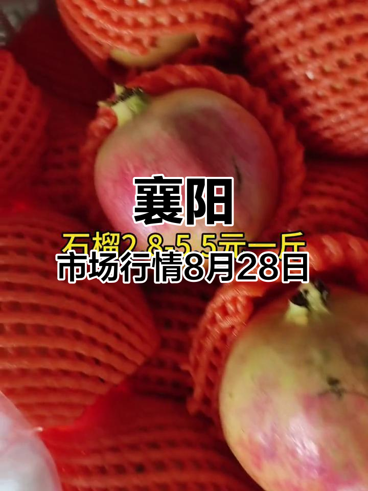襄阳竹叶山市场8月28日蔬菜水果价格大揭秘,新鲜应季产品一览
