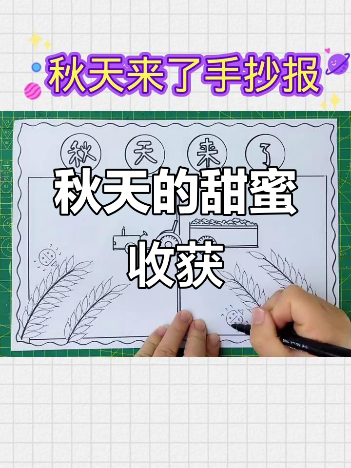 秋天丰收季节,水果大丰盈!石榴、苹果、橘子样样有