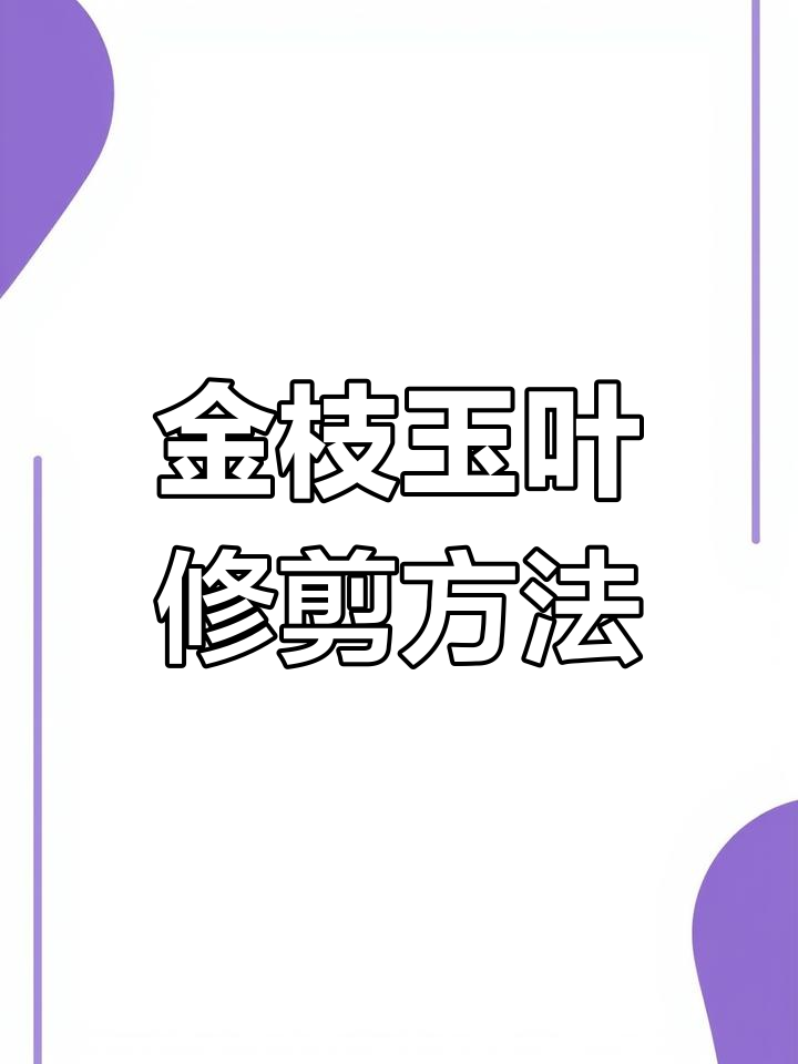 金枝玉叶悬崖老桩制作与修剪技巧,打造独特造型