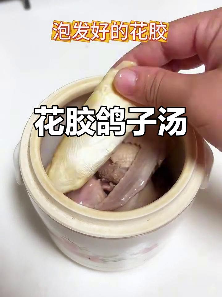花胶鸽子汤,炖出好气色,滋补又美味