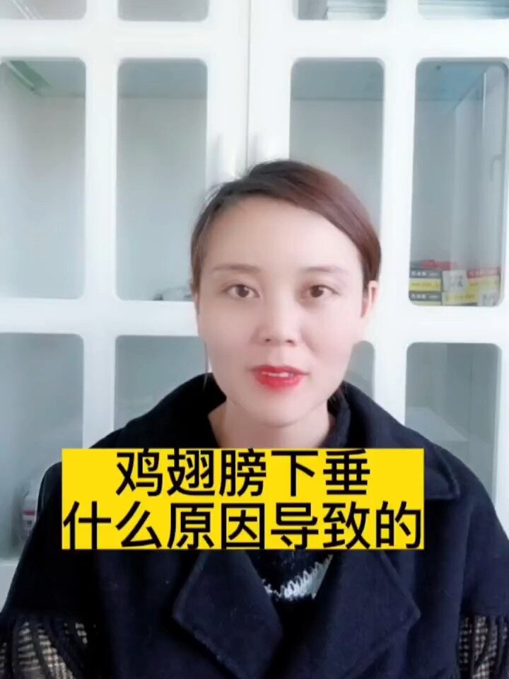 禽医恒艳谈鸡翅膀下垂是什么原因导致的