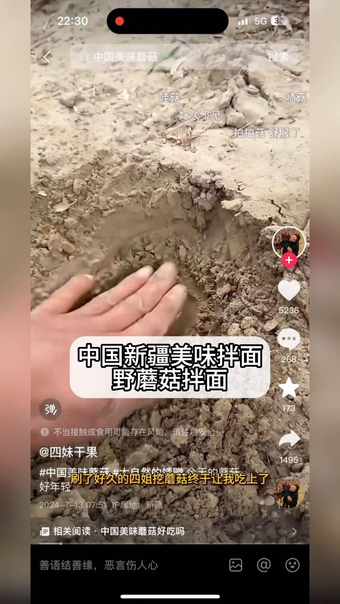 中国新疆美味拌面——野蘑菇拌面