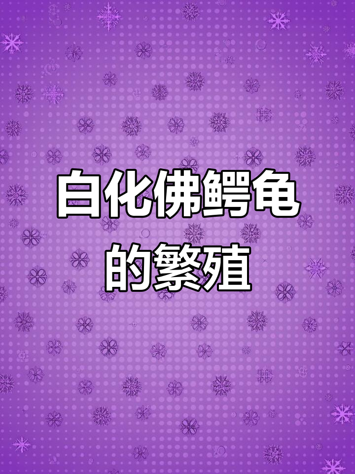 如何培育白化佛鳄龟?从母子配对到孵化全过程揭秘