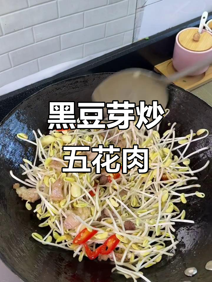 简单又下饭的黑豆芽炒肉,家常味十足