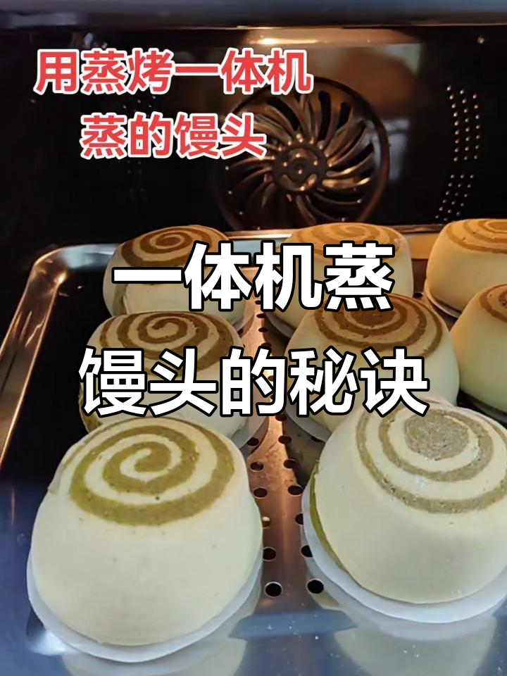 蒸烤一体机做馒头,第二次成功!