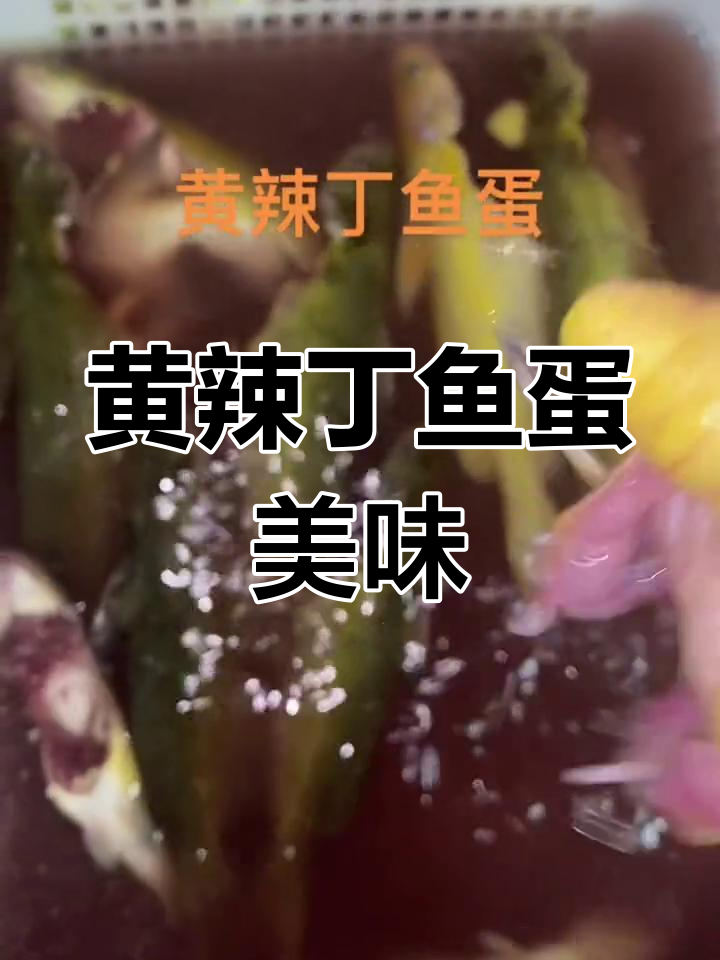 肥肠鱼蛙馆的黄辣丁鱼蛋,好吃到爆!