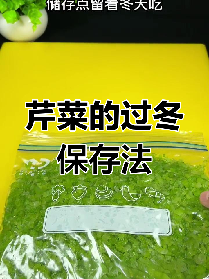 芹菜冬季储存技巧,保持新鲜到过年