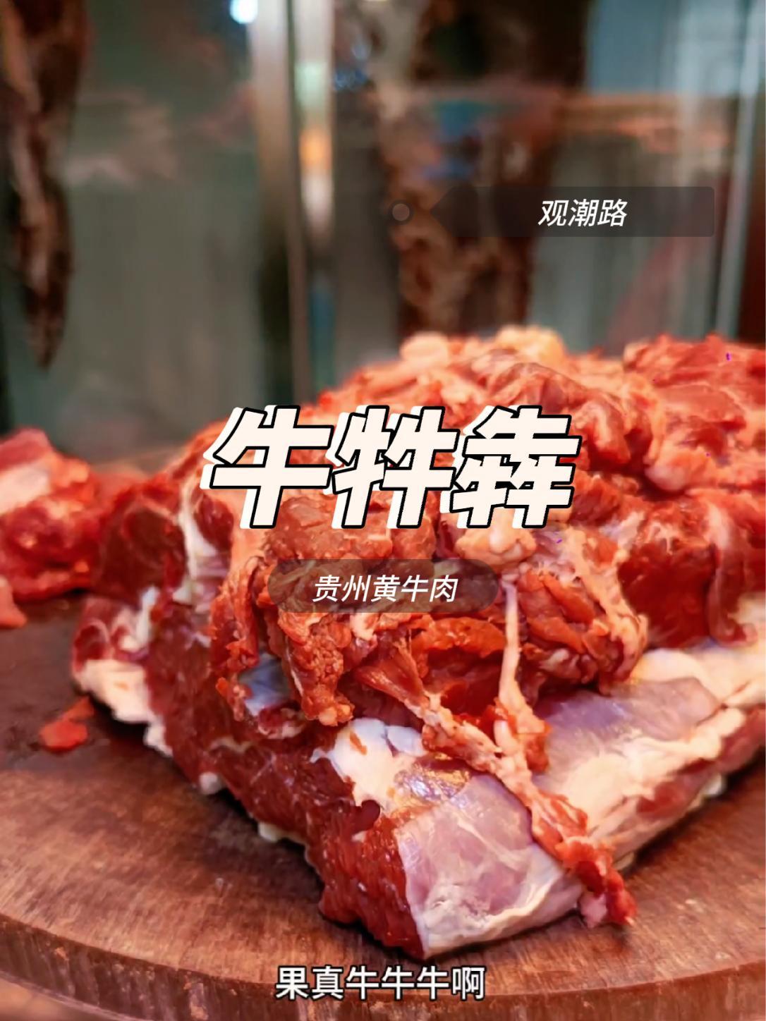 吃牛牪犇,2024我们一起牛气冲天,牛得不行,牛皮克拉斯 美食探店 牛牪犇 贵州黄牛肉火锅