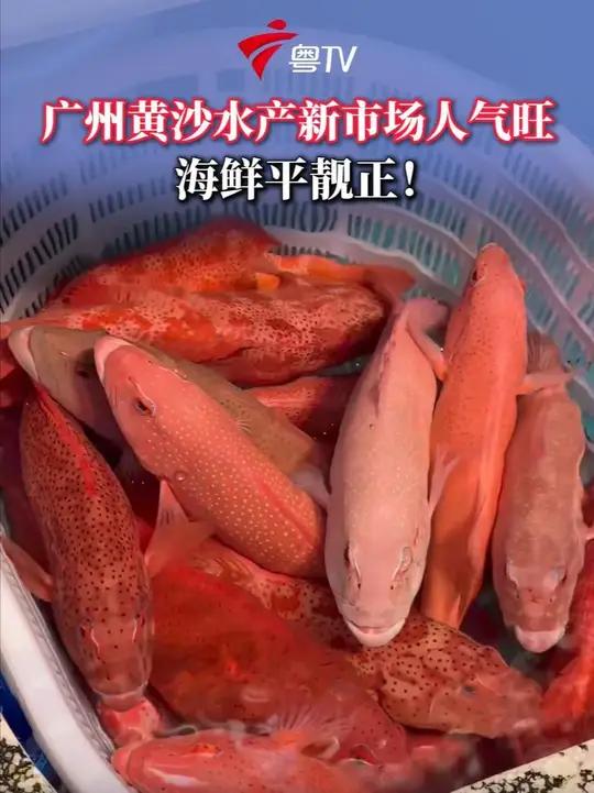 广州黄沙水产新市场人气旺 海鲜平靓正!过年不妨过来看看啦~