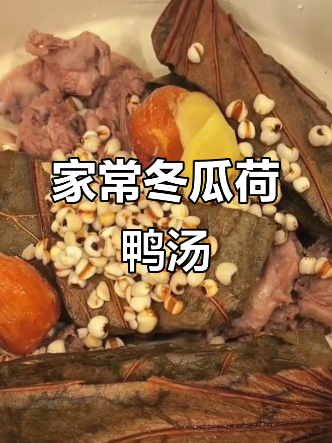 冬瓜荷叶鸭汤,营养又美味,家常做法大公开