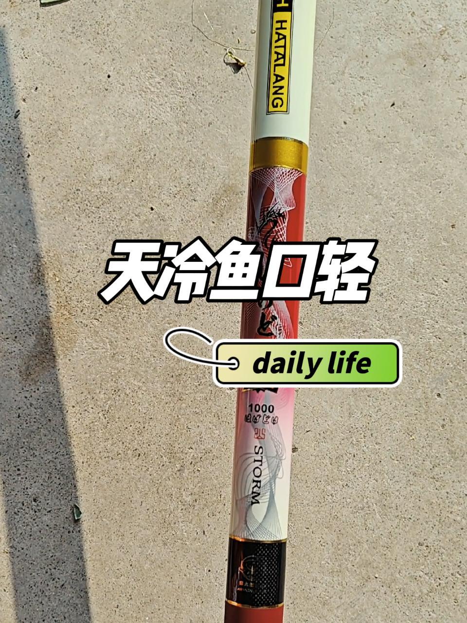 在冬日阳光下钓个鱼吧 自配的窝料上鱼了,可惜没拍到,天冷鱼口轻,待了2小时就回家了,买的这