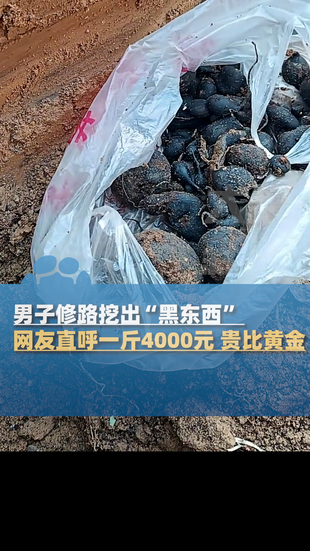四川一男子修路挖出“黑东西”,网友直呼可能是野生乌灵参
