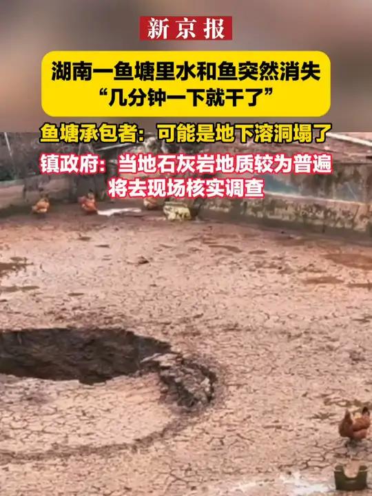湖南一鱼塘里水和鱼突然消失 “几分钟一下就干了” 鱼塘承包者:可能是地下溶洞塌了 镇政府:
