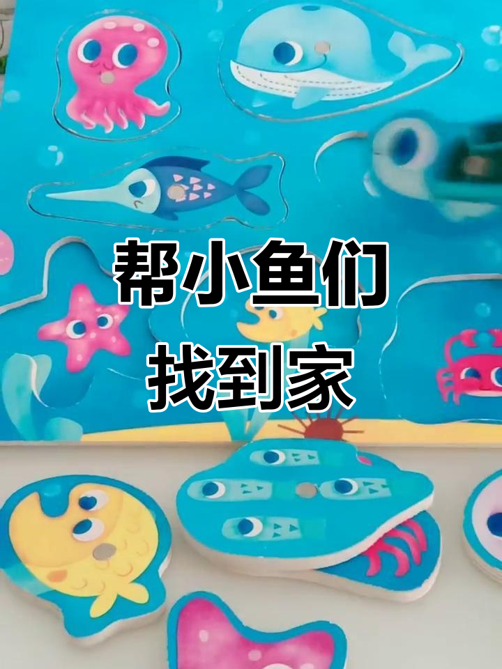 小鱼们的家在哪里?一起帮忙找!
