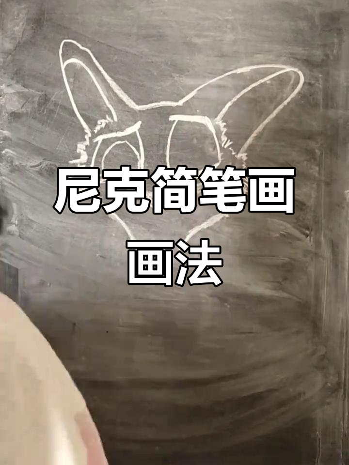 尼克疯狂动物城简笔画,轻松上手!
