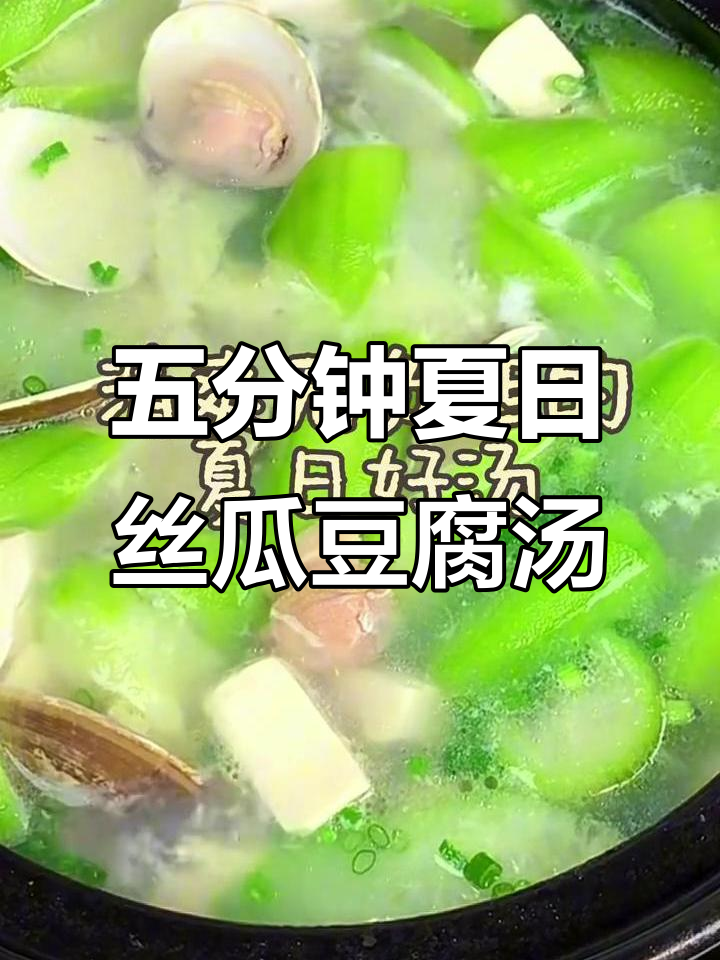 夏日清爽丝瓜豆腐文蛤汤，五分钟搞定鲜甜美味