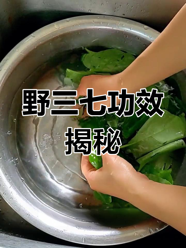野三七,传说能增强肾腰功能,效果如何?