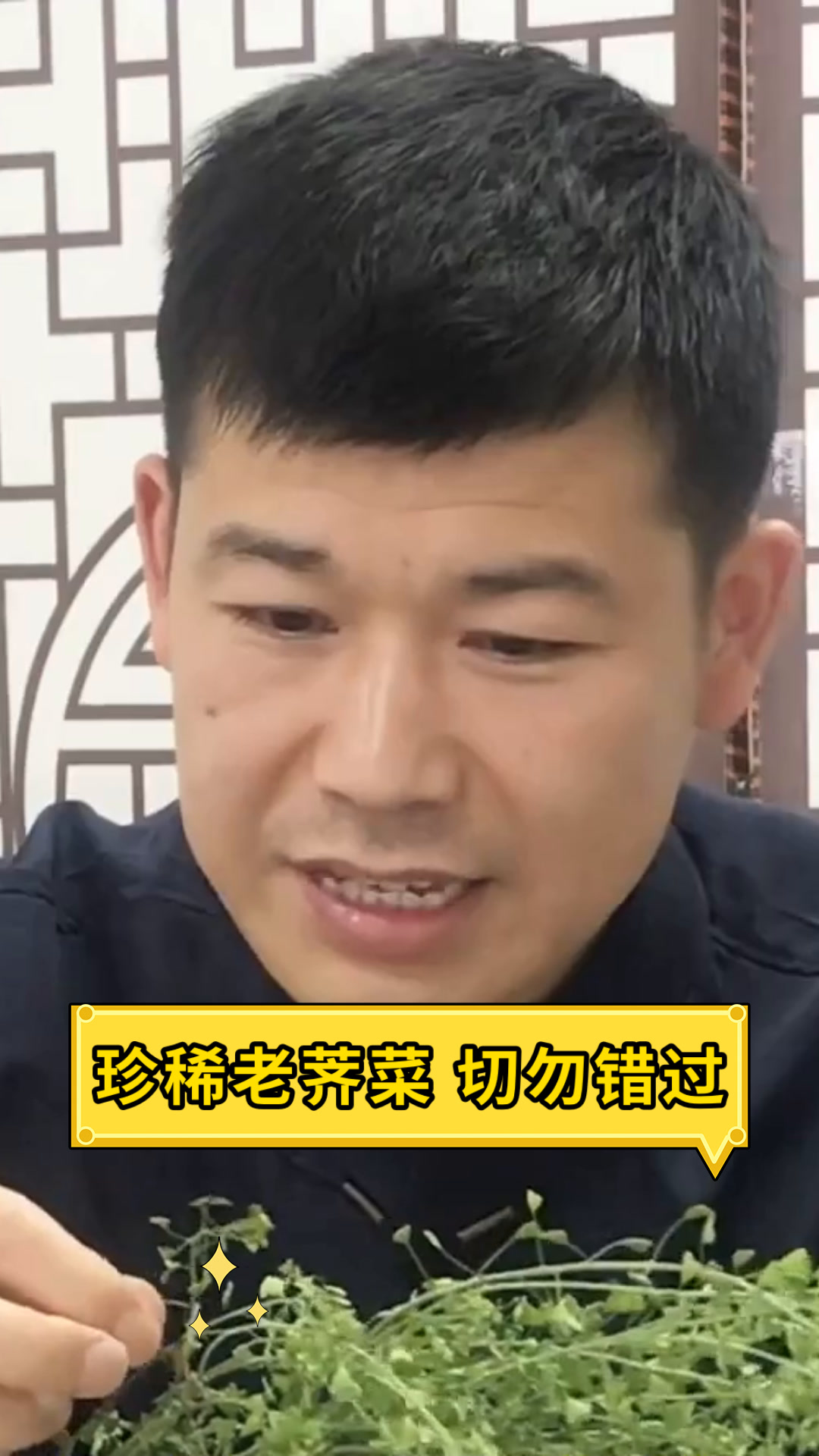 珍稀老荠菜 切勿错过