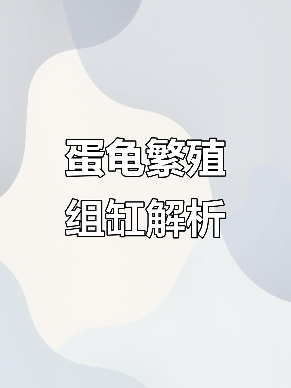 蛋龟繁殖缸详细设计，如何避免越狱和挖蛋难题
